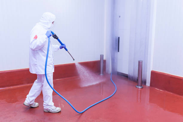 Professional Pressure Washing in White City, OR